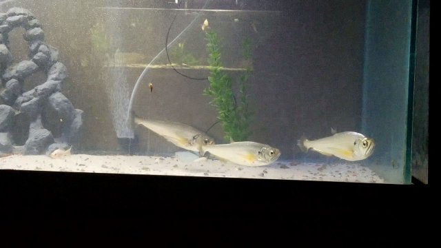 VideoCapture_20190821-012344.jpg