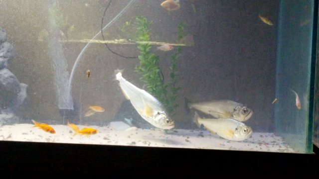 VideoCapture_20190821-012614.jpg