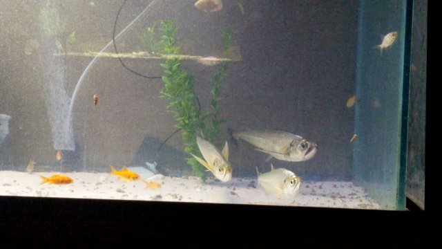 VideoCapture_20190821-012634.jpg