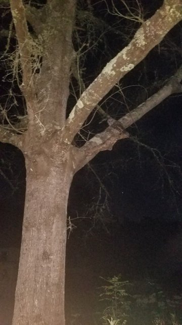 20190821_060048.jpg