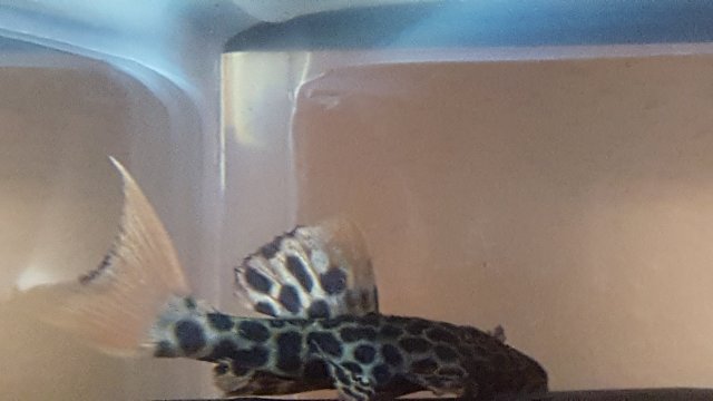 20160117_002307.jpg