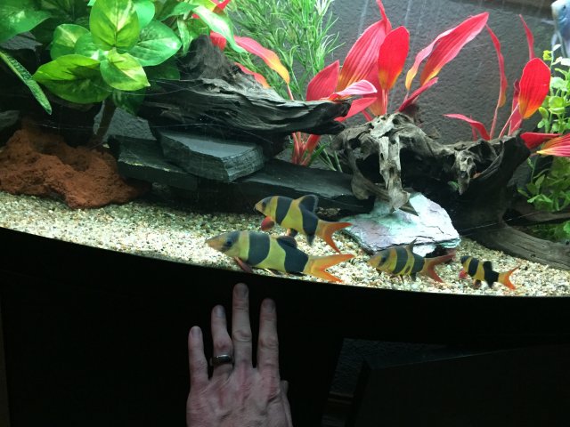 2B4F817E-5A8E-4752-9ECB-26048C5CDA35.jpeg 2B4F817E-5A8E-4752-9ECB-26048C5CDA35.jpeg