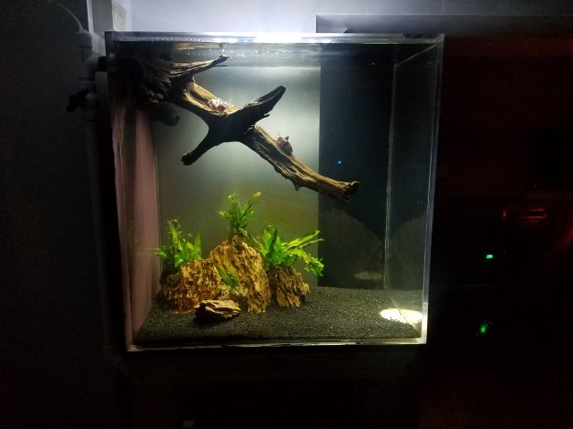 20190809_223157.jpg 20190809_223157.jpg