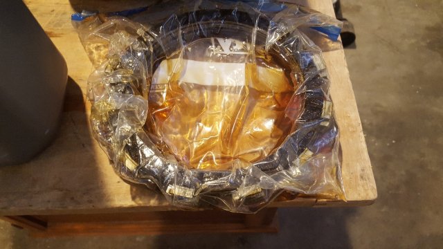 20190829_160720_resized.jpg
