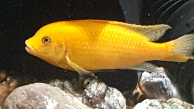 20190826_185714.jpg
