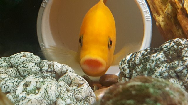 20190819_095341.jpg