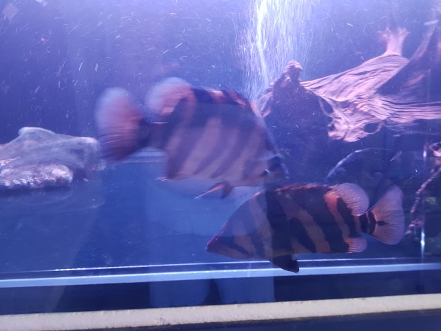 20190901_191052.jpg
