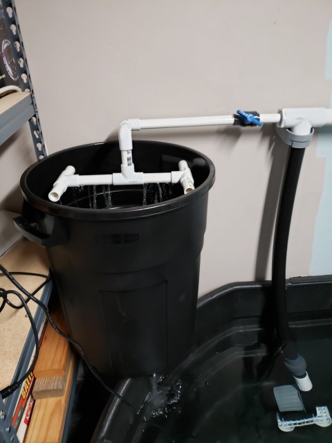 20190901_210639.jpg