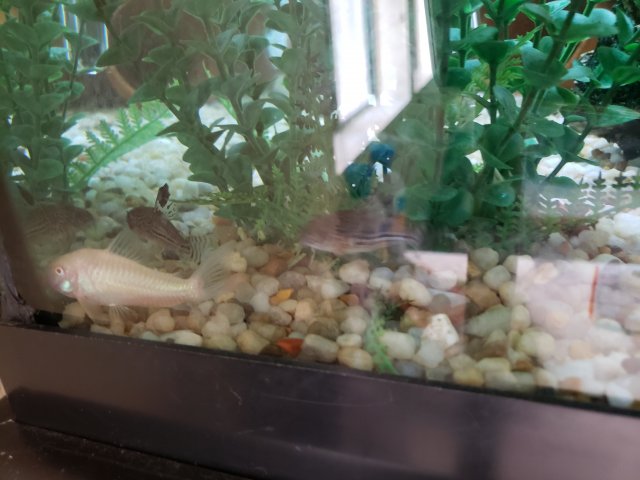 20190902_131542.jpg