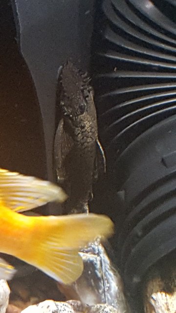 20190829_082342.jpg