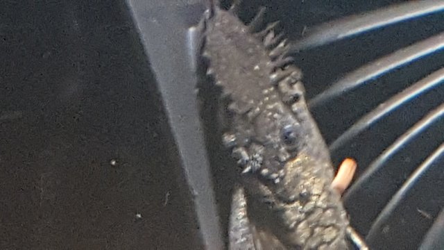 20190829_082323.jpg