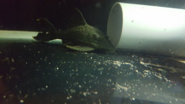 20190825_130649.jpg