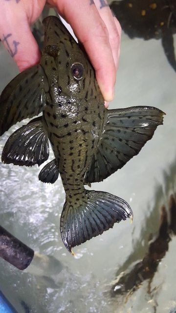 20190820_231527.jpg