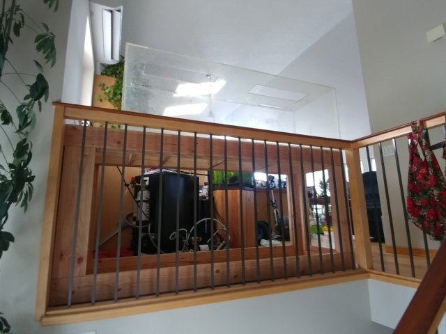 Medium-0903191021.jpg