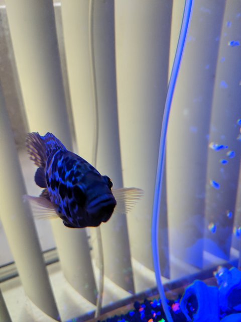 MVIMG_20190902_070753.jpg MVIMG_20190902_070753.jpg