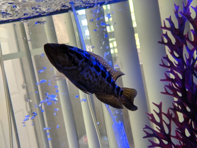 MVIMG_20190902_075650.jpg MVIMG_20190902_075650.jpg