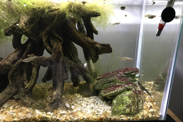 Screen Shot 2019-09-03 at 9.17.56 PM.png