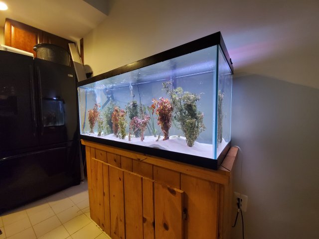 20190903_160047.jpg