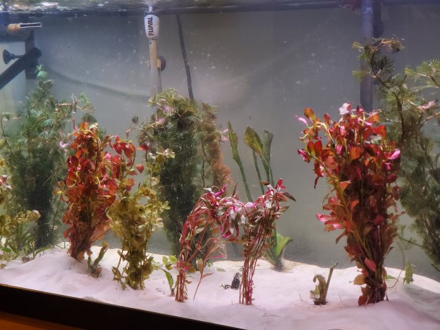 20190903_160037.jpg