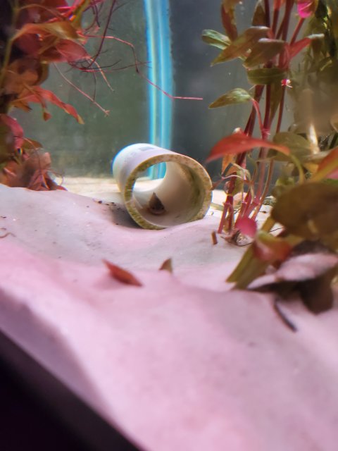 20190904_201550.jpg
