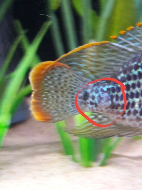 20190908_164034.jpg