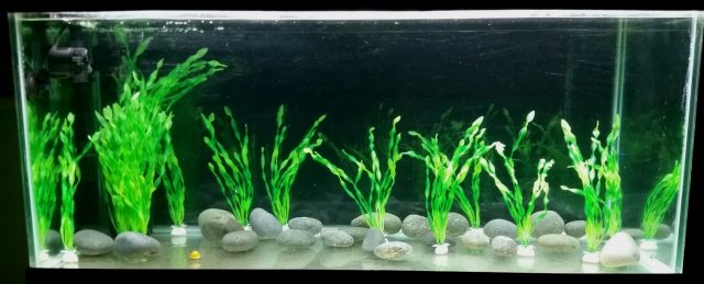 2019-09-09 20.12.38.jpg 2019-09-09 20.12.38.jpg