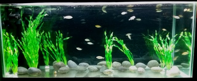 2019-09-10 20.27.27.jpg 2019-09-10 20.27.27.jpg