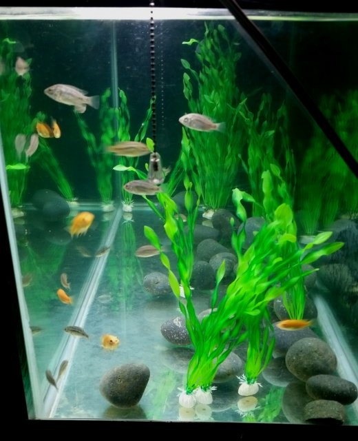 2019-09-10 20.26.15.jpg 2019-09-10 20.26.15.jpg