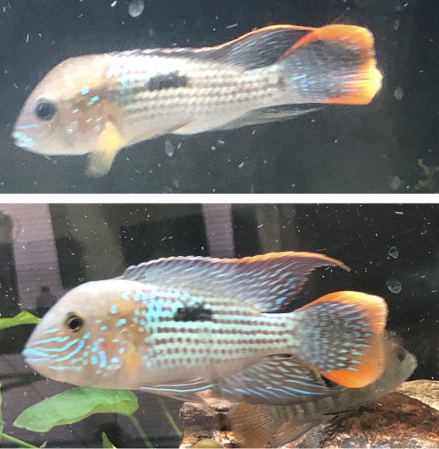 76C8FBD8-5359-421B-8164-FA52DBF2DA77.jpeg 76C8FBD8-5359-421B-8164-FA52DBF2DA77.jpeg