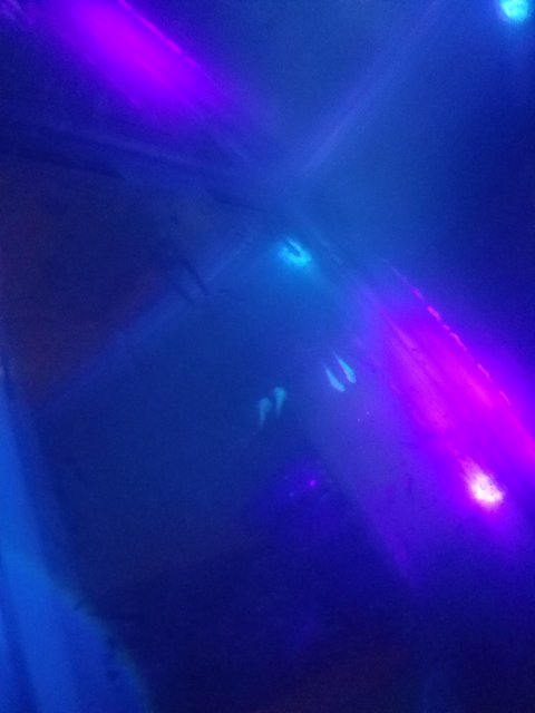 20190911_050756.jpg