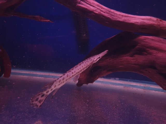 20190913_172552.jpg
