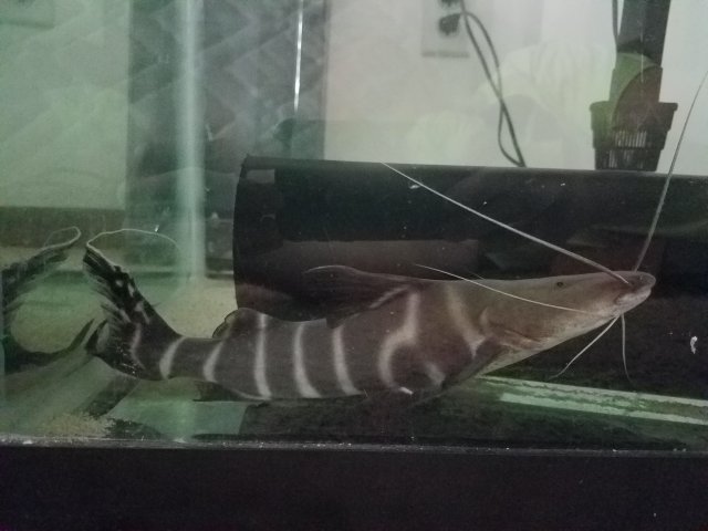 20190913_100110.jpg