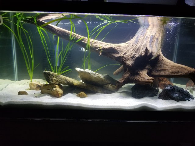 20190912_203937.jpg 20190912_203937.jpg