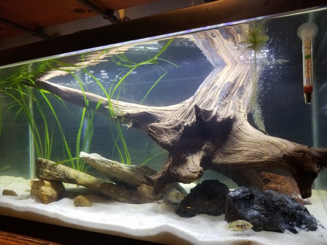 20190912_203551.jpg 20190912_203551.jpg