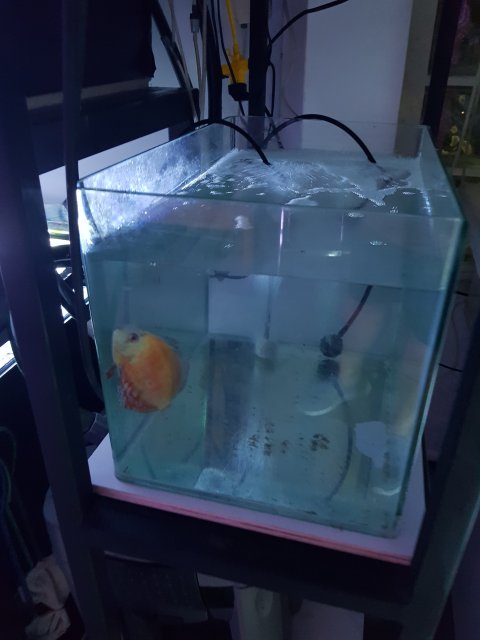 20190914_225145.jpg