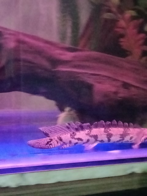 IMG20190915215201.jpg IMG20190915215201.jpg