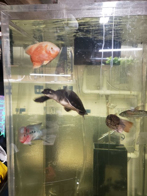 20190916_091045.jpg