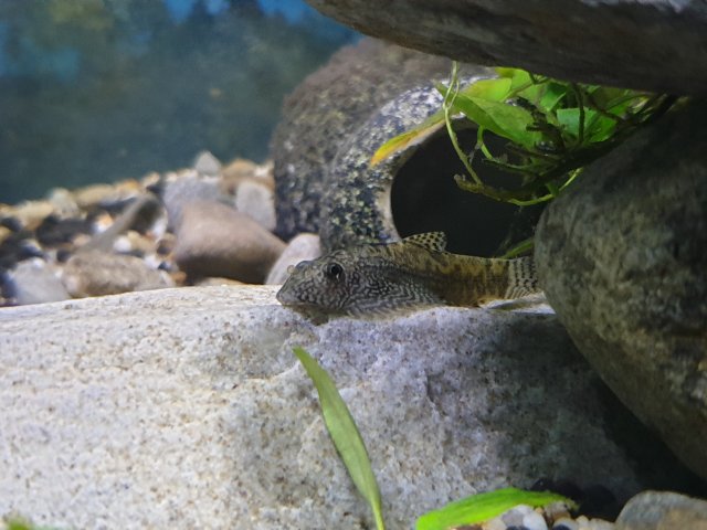 20190916_202435.jpg 20190916_202435.jpg