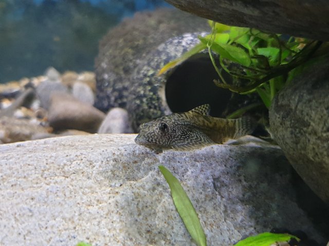 20190916_202429.jpg 20190916_202429.jpg
