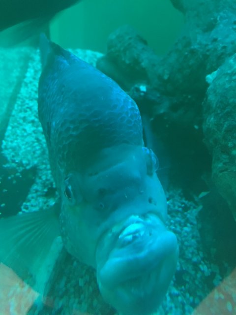 AD0862E0-4578-4DF4-B669-245F07448F01.jpeg