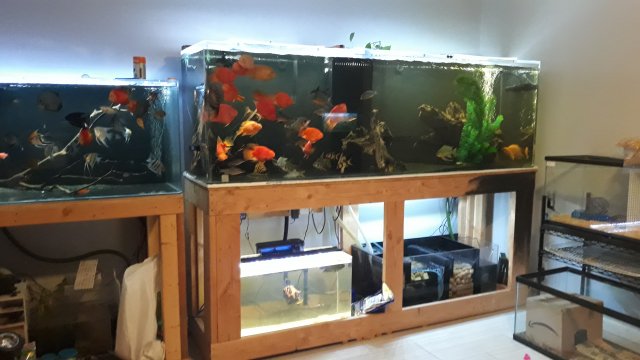 20190917_210204.jpg