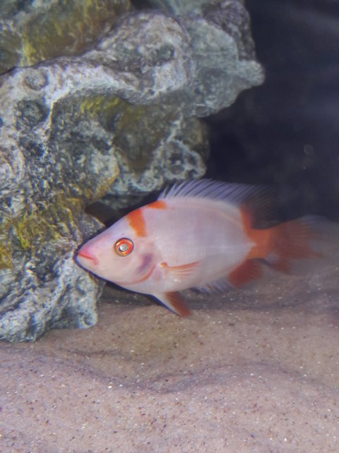 20190809_180317.jpg 20190809_180317.jpg