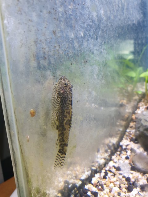 20190918_162725.jpg