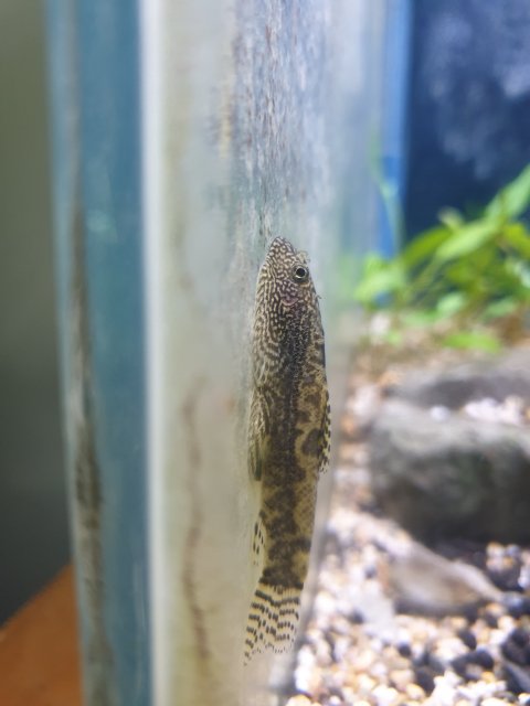 20190918_162736.jpg