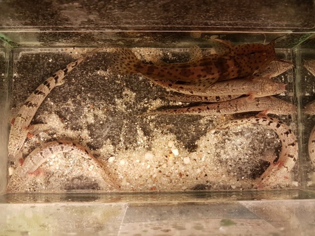 IMG_20190913_145710.jpg IMG_20190913_145710.jpg