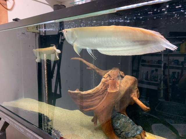 IMG_2178.JPG IMG_2178.JPG