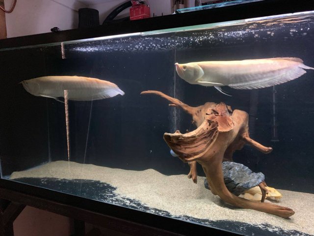 IMG_2179 2.JPG IMG_2179 2.JPG