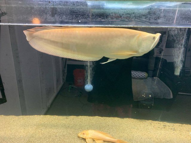 IMG_2180.JPG IMG_2180.JPG