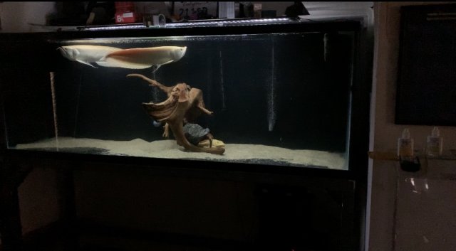 IMG_2182.jpg IMG_2182.jpg