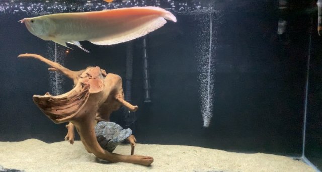 IMG_2186.jpg IMG_2186.jpg